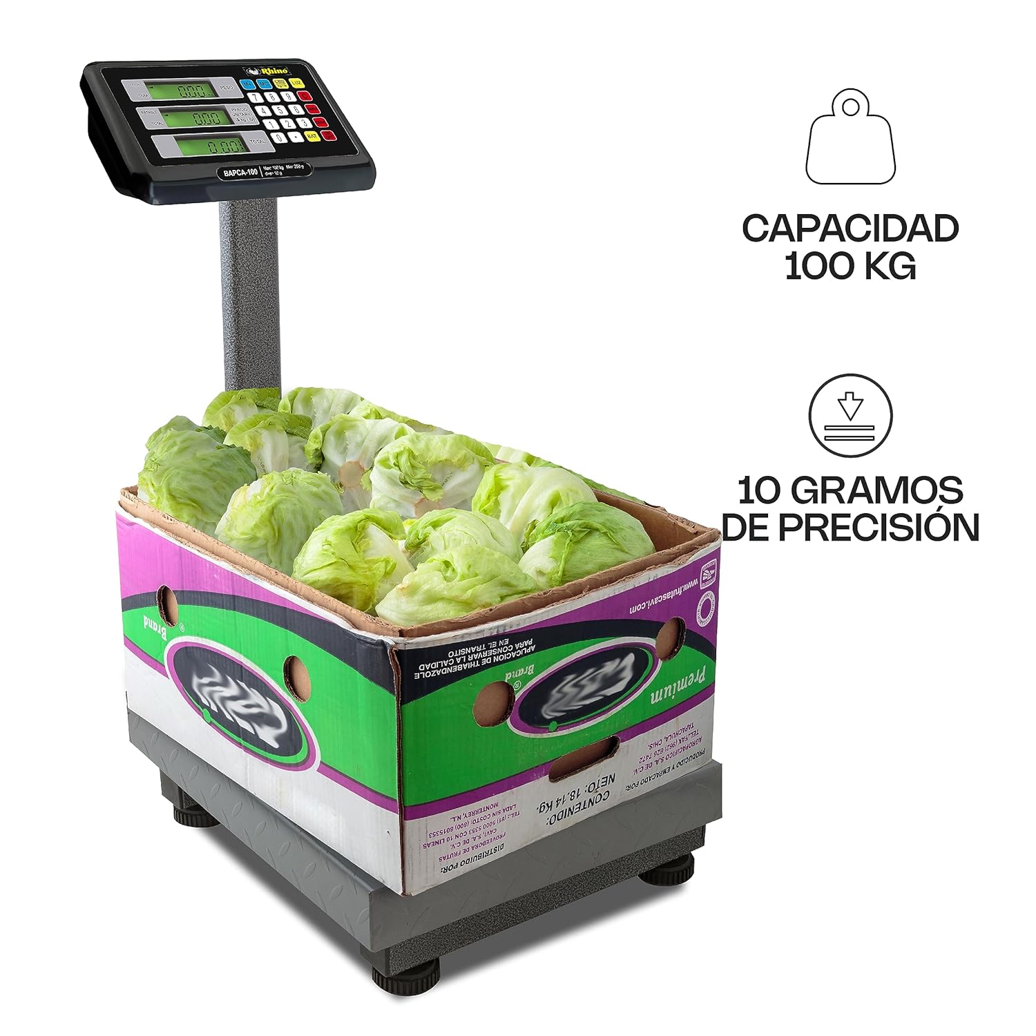 Báscula de Plataforma Plegable 100 kg