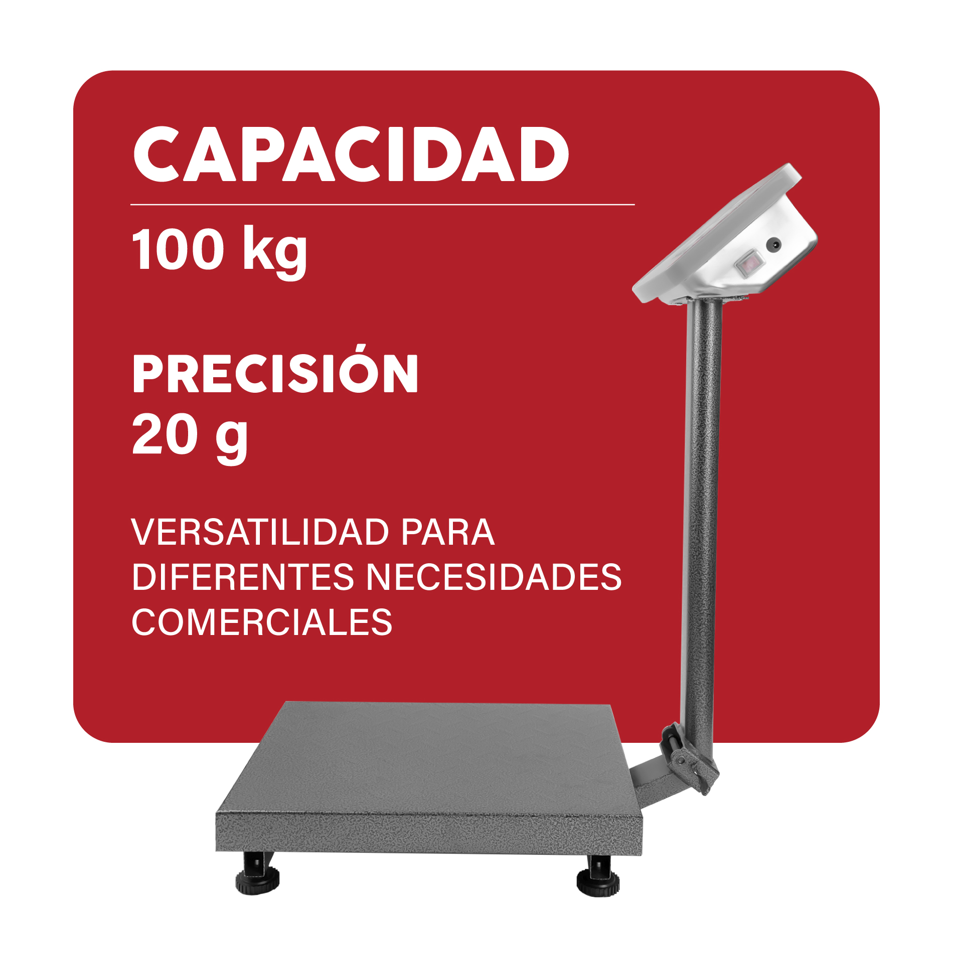 Báscula de Plataforma Plegable 100 kg
