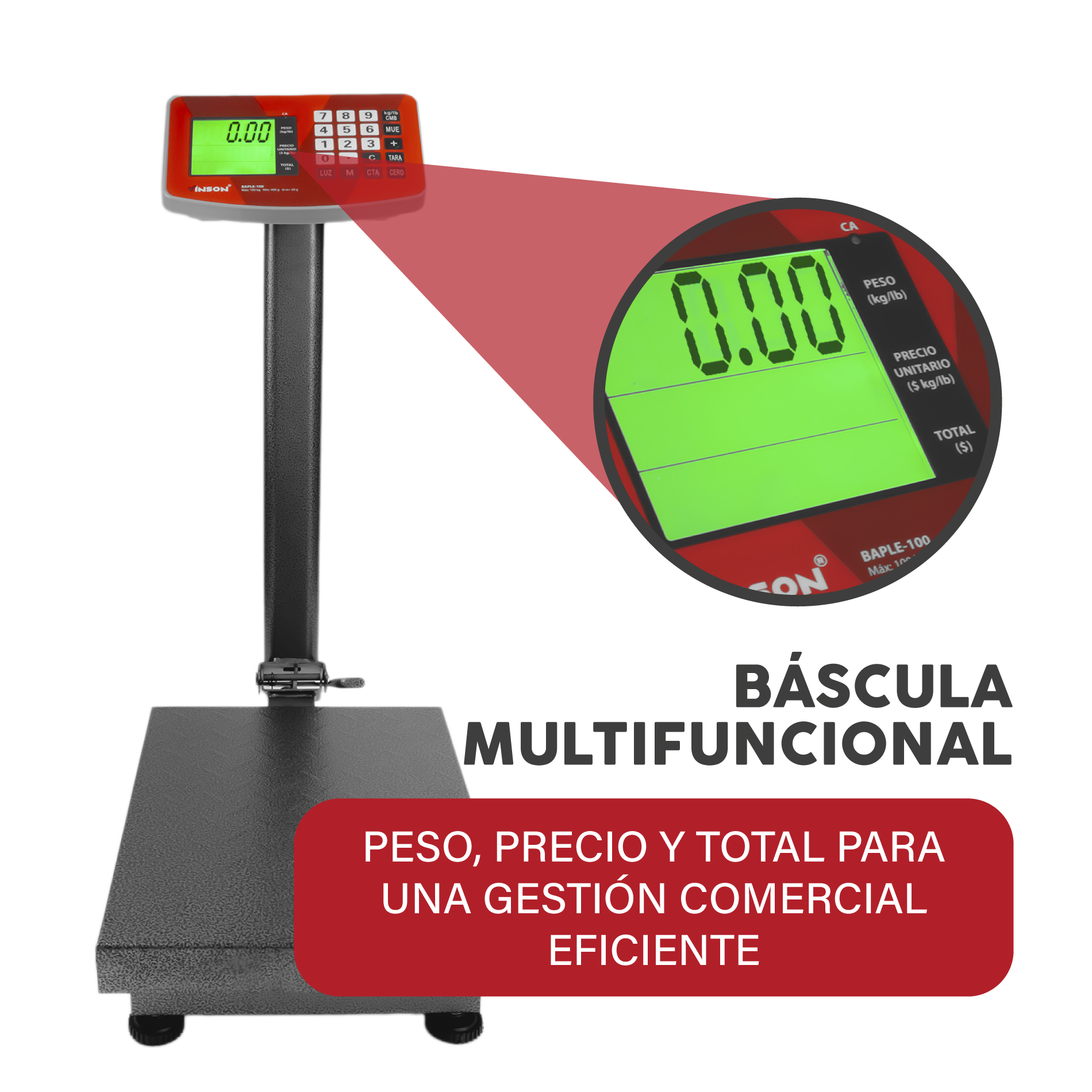 Báscula de Plataforma Plegable 100 kg