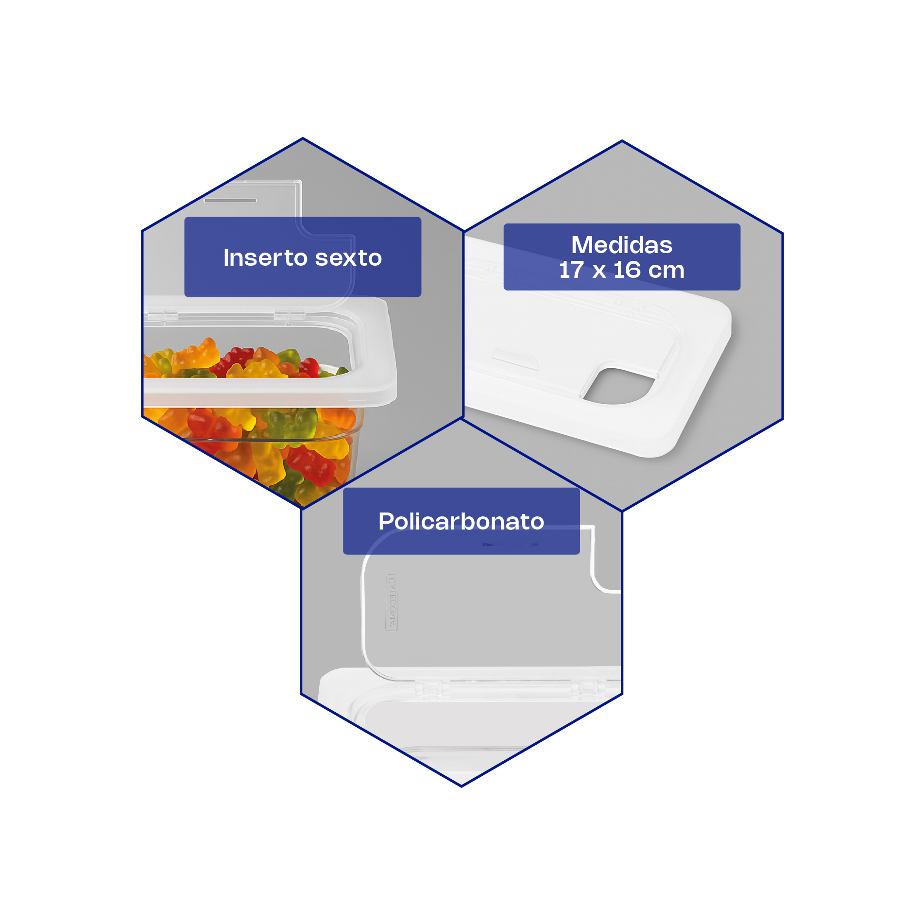 Tapa con Bisagra para Inserto Inox Sexto