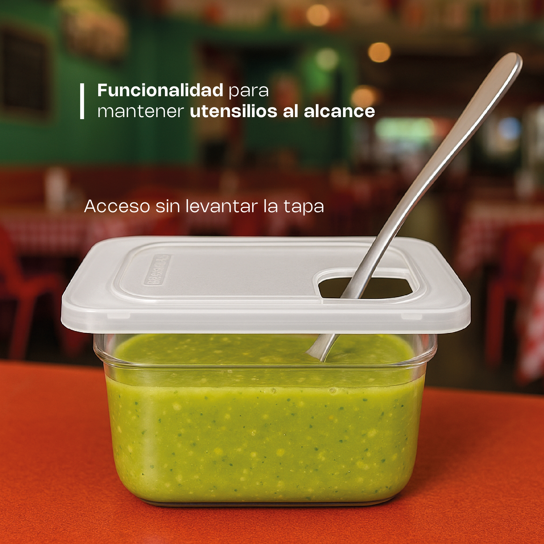 Tapa con Bisagra para Inserto Inox Sexto