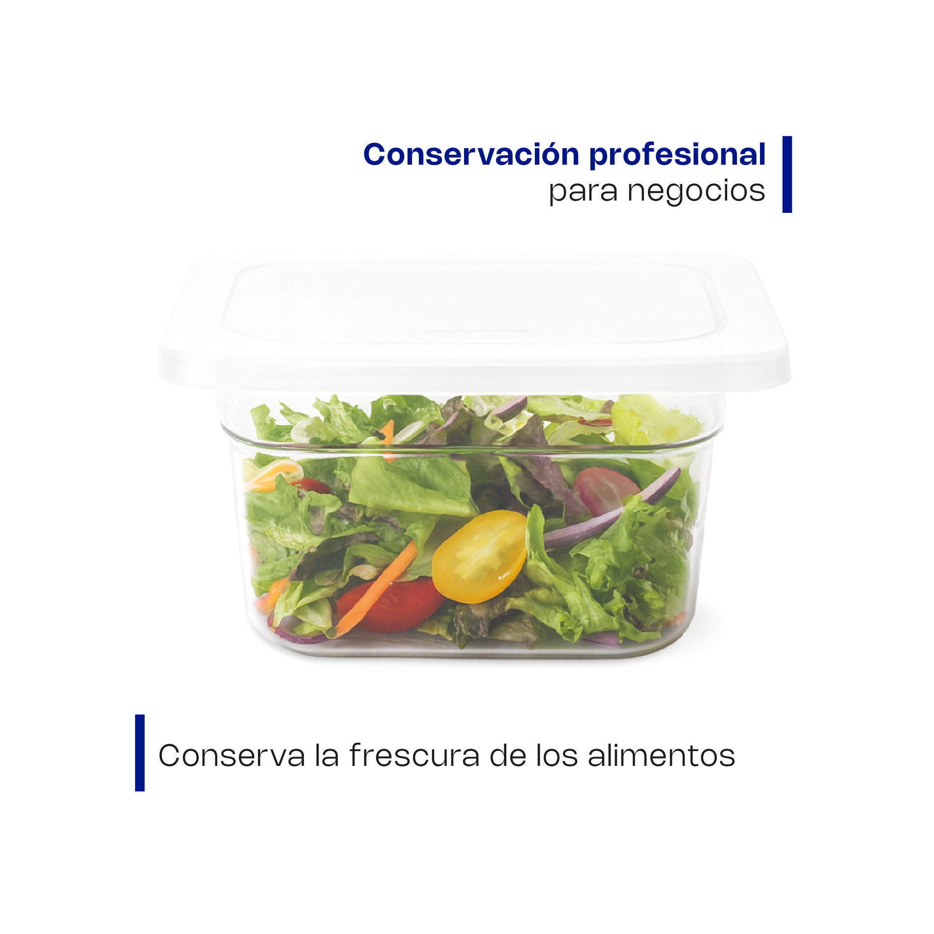 Tapa con Bisagra para Inserto Inox Sexto