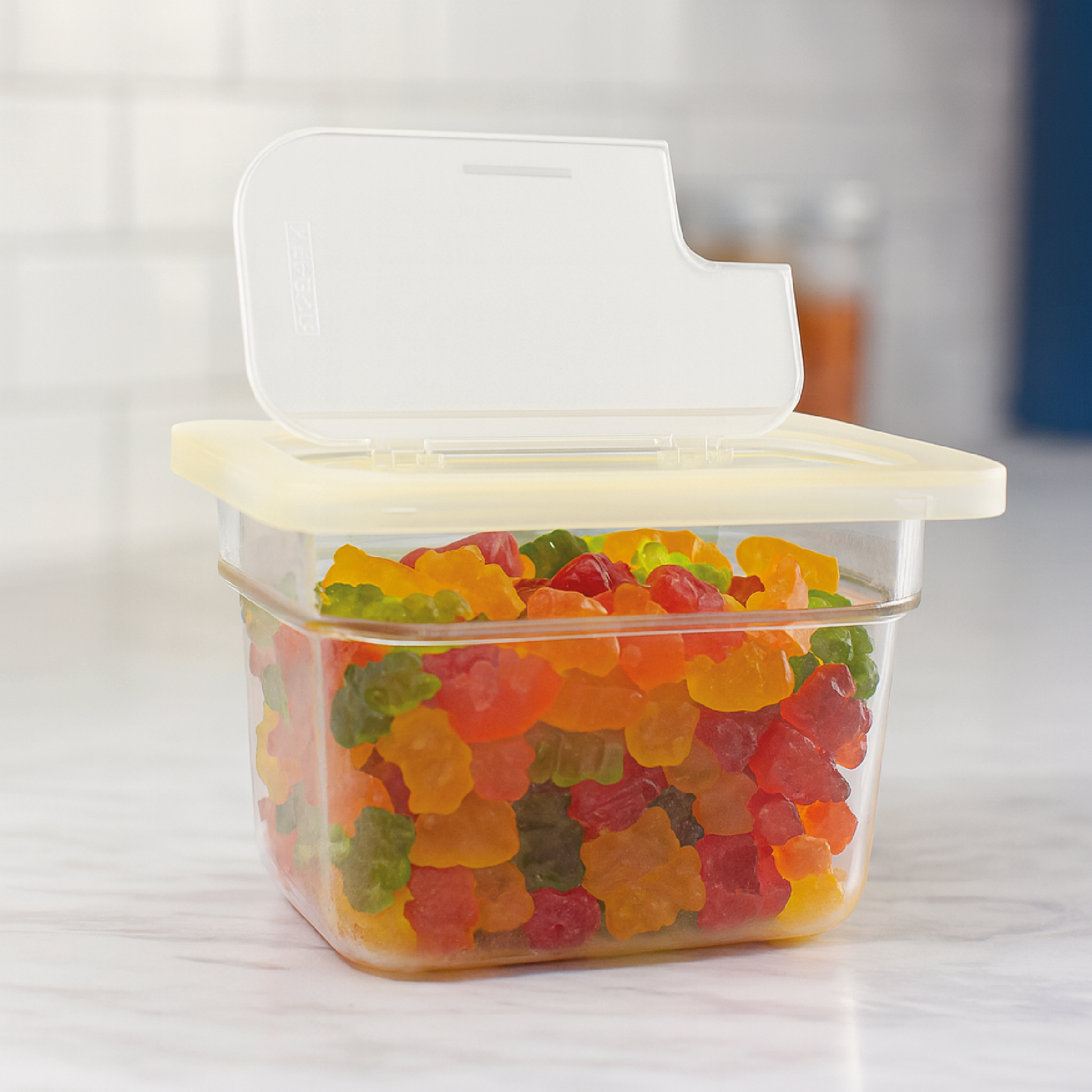 Tapa con Bisagra para Inserto Inox Sexto